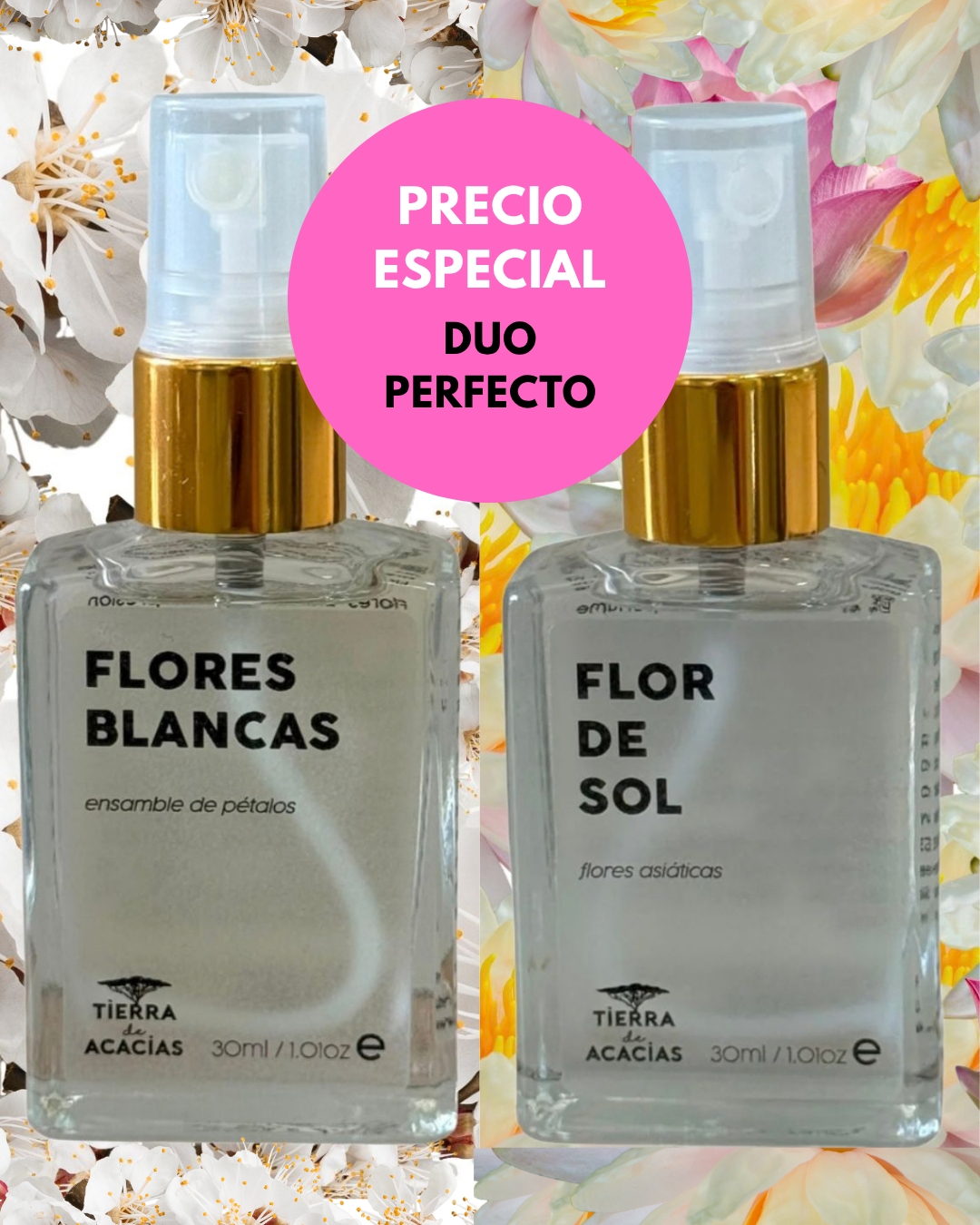 DUO Flores Blancas + Flor de Sol / Serenidad