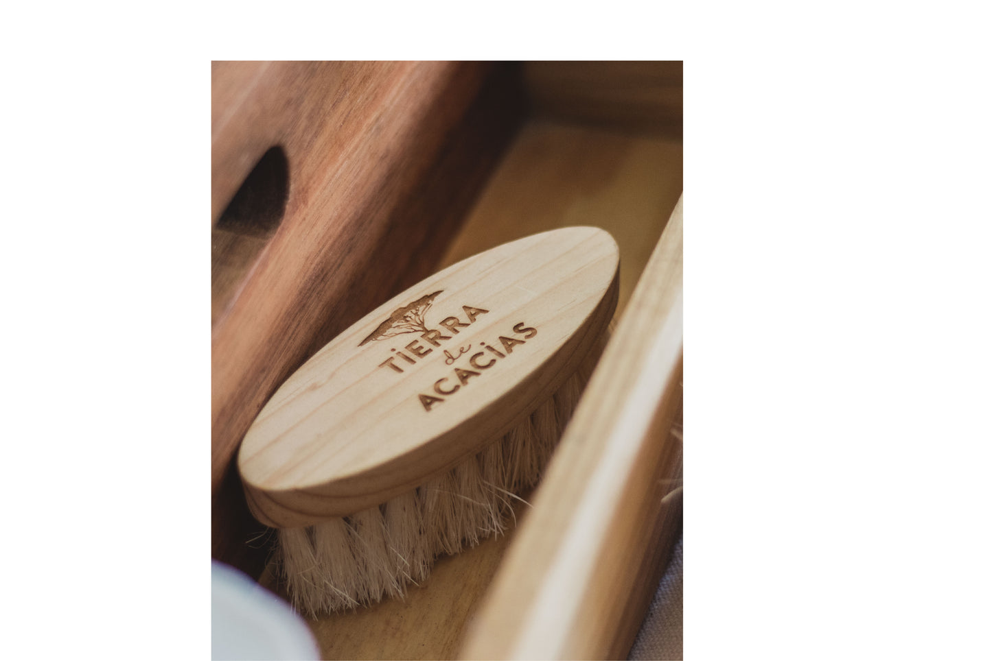 Cepillo Corporal de Fibra de Henequén - Cepillado en Seco