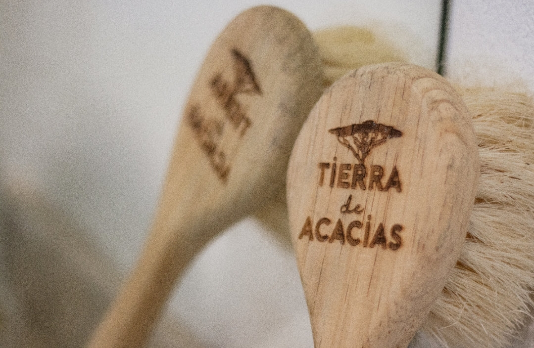 Cepillo para Cepillado en Seco