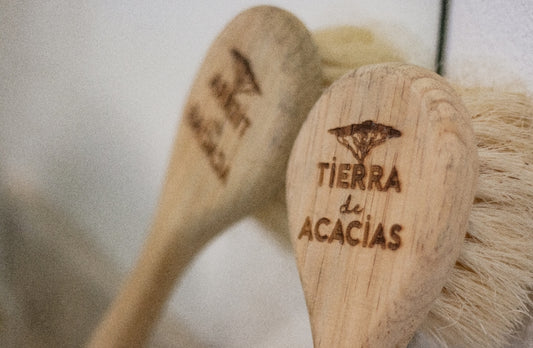 Cepillo para Cepillado en Seco