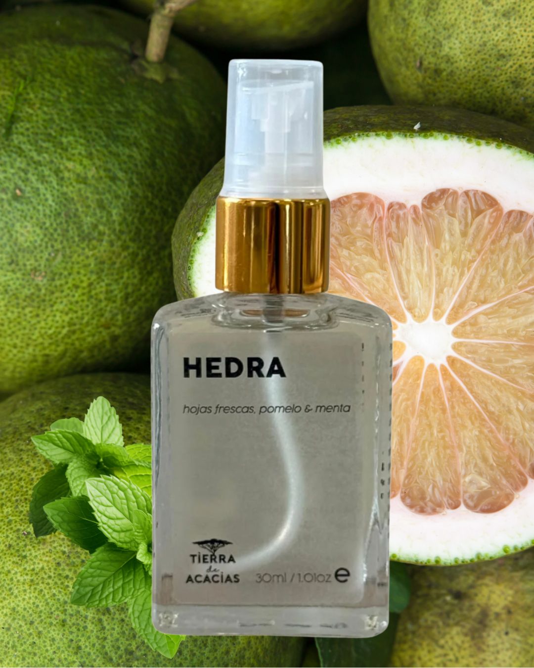 Hedra / Hojas frescas, pomelo & menta