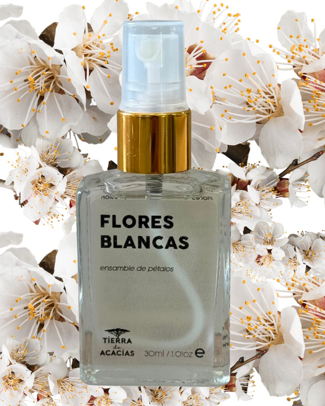 Flores Blancas / Ensamble de pétalos